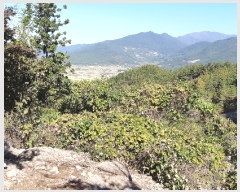  2019Ÿ��8655 ���� ���ʱ� ��ô�� ������ ��15      ����(�Ӿ�)���