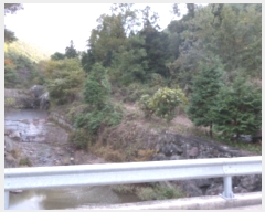  2019Ÿ��8655 ���� ���ʱ� ��ô�� ������ ��15      ����(�Ӿ�)���