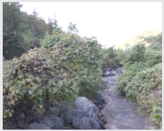  2019Ÿ��8655 ���� ���ʱ� ��ô�� ������ ��15      ����(�Ӿ�)���