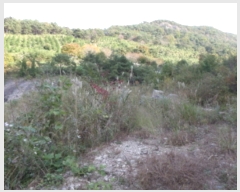  2019Ÿ��8655 ���� ���ʱ� ��ô�� ������ ��15      ����(�Ӿ�)���