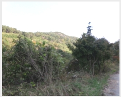  2019Ÿ��8655 ���� ���ʱ� ��ô�� ������ ��15      ����(�Ӿ�)���