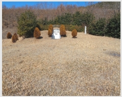  2019Ÿ��50335 ���� ������ ������ ��� 853-1      ����(��1)���