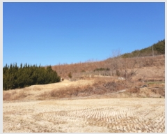  2019Ÿ��50335 ���� ������ ������ ��� 853-1      ����(��1)���