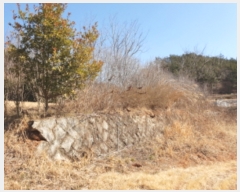  2019Ÿ��50335 ���� ������ ������ ��� 853-1      ����(��1)���