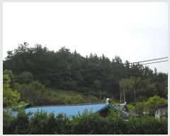  2019Ÿ��52140 ���� ������ ������ ��� ��257-8      ����(�Ӿ�)���