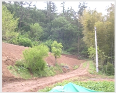  2019Ÿ��52140 ���� ������ ������ ��� ��257-8      ����(�Ӿ�)���