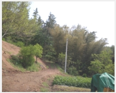  2019Ÿ��52140 ���� ������ ������ ��� ��257-8      ����(�Ӿ�)���