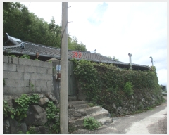  2019Ÿ54207  ﱺ  õϱ 45-1      ð