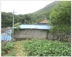  2019Ÿ54207  ﱺ  õϱ 45-1      ð