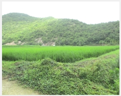  2019Ÿ54207  ﱺ  õϱ 45-1      ð