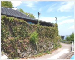  2019Ÿ54207  ﱺ  õϱ 45-1      ð