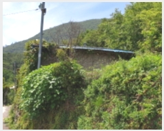  2019Ÿ54207  ﱺ  õϱ 45-1      ð