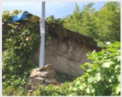  2019Ÿ54207  ﱺ  õϱ 45-1      ð