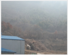  2019Ÿ1104   ﵿ 122-2       (Ӿ)