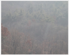  2019Ÿ1104   ﵿ 122-2       (Ӿ)