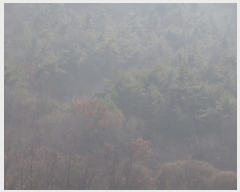  2019Ÿ1104   ﵿ 122-2       (Ӿ)