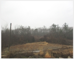  2019Ÿ��1289 ���� ���ﱺ ������ ������ 661      ����(��1)���