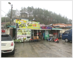  2019Ÿ��1289 ���� ���ﱺ ������ ������ 661      ����(��1)���