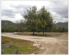  2019Ÿ��2572 ���� ��õ�� ���� ���긮 567-7      ����(��)���