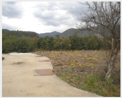  2019Ÿ��2572 ���� ��õ�� ���� ���긮 567-7      ����(��)���