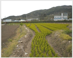  2019Ÿ��2572 ���� ��õ�� ���� ���긮 567-7      ����(��)���