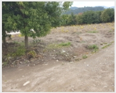  2019Ÿ��2572 ���� ��õ�� ���� ���긮 567-7      ����(��)���