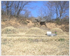  2019Ÿ��2640 ���� ��õ�� ������ ���и� ��90-2      ����(�Ӿ�)���