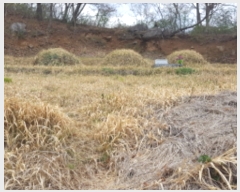  2019Ÿ��2640 ���� ��õ�� ������ ���и� ��90-2      ����(�Ӿ�)���