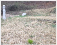  2019Ÿ��2640 ���� ��õ�� ������ ���и� ��90-2      ����(�Ӿ�)���