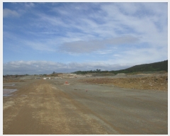  2019Ÿ��3278 ���� ����� Ȳ�ݵ� ��42-6       ����(�Ӿ�)���