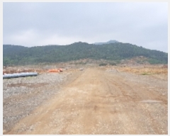  2019Ÿ��3278 ���� ����� Ȳ�ݵ� ��42-6       ����(�Ӿ�)���