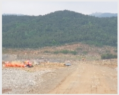  2019Ÿ��3278 ���� ����� Ȳ�ݵ� ��42-6       ����(�Ӿ�)���