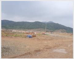  2019Ÿ��3278 ���� ����� Ȳ�ݵ� ��42-6       ����(�Ӿ�)���