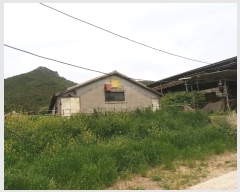  2019Ÿ3575  ﱺ θ  85      (󰡽ü)