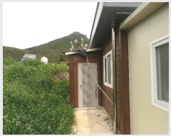  2019Ÿ3575  ﱺ θ  85      (󰡽ü)