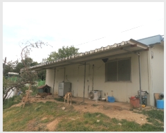  2019Ÿ3575  ﱺ θ  85      (󰡽ü)