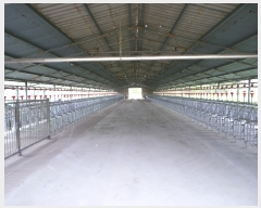  2019Ÿ3575  ﱺ θ  85      (󰡽ü)