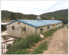  2019Ÿ3575  ﱺ θ  85      (󰡽ü)