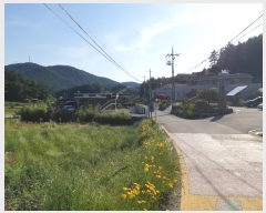  2019Ÿ��4462 ���� ���ﱺ ���ϸ� ��縮 803-2      ���ð��