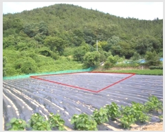  2019Ÿ��5427 ���� ������ �Ҷ�� ��õ�� 885-3      ����(��1)���