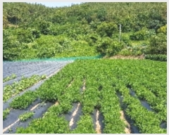  2019Ÿ��5427 ���� ������ �Ҷ�� ��õ�� 885-3      ����(��1)���