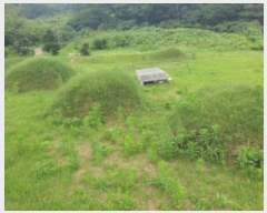  2019Ÿ��6437 ���� ��õ�� �ܼ��� ������ 303      ����(��1)���