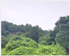  2019Ÿ��6437 ���� ��õ�� �ܼ��� ������ 303      ����(��1)���