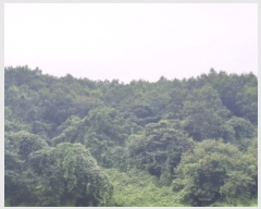  2019Ÿ��6437 ���� ��õ�� �ܼ��� ������ 303      ����(��1)���