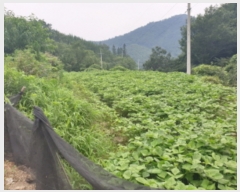  2019Ÿ��6437 ���� ��õ�� �ܼ��� ������ 303      ����(��1)���