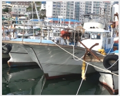  2019Ÿ6604 ()          ڰ