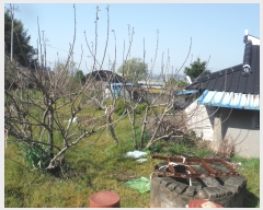  2019Ÿ��51406 ���� ��õ�� �ط�� ���ո� 273      ����(��1)���