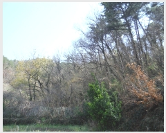  2019Ÿ��51406 ���� ��õ�� �ط�� ���ո� 273      ����(��1)���