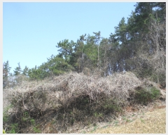  2019Ÿ��51406 ���� ��õ�� �ط�� ���ո� 273      ����(��1)���