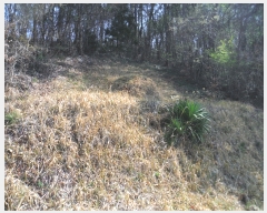  2019Ÿ��51406 ���� ��õ�� �ط�� ���ո� 273      ����(��1)���